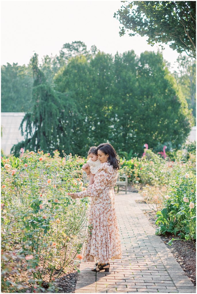 Grandmother Holds Infant Daughter In Rose Garden.