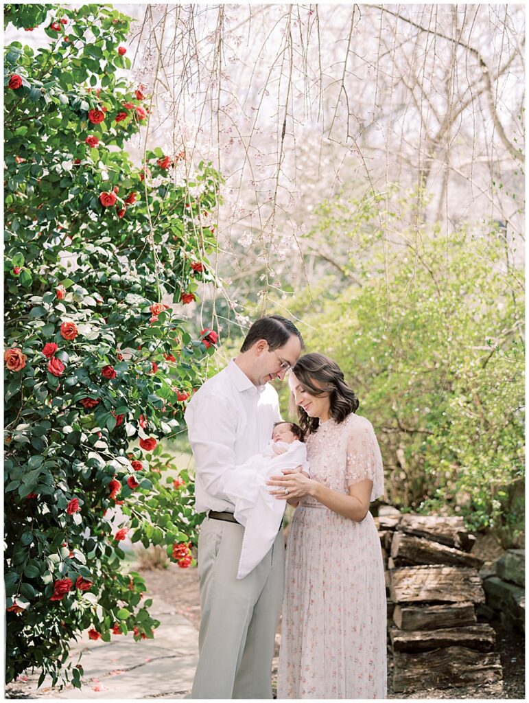 Mother And Father Stand Outside In Front Of Their Camellia Bush Looking Down At Their Baby Girl During Their Arlington Newborn Session.