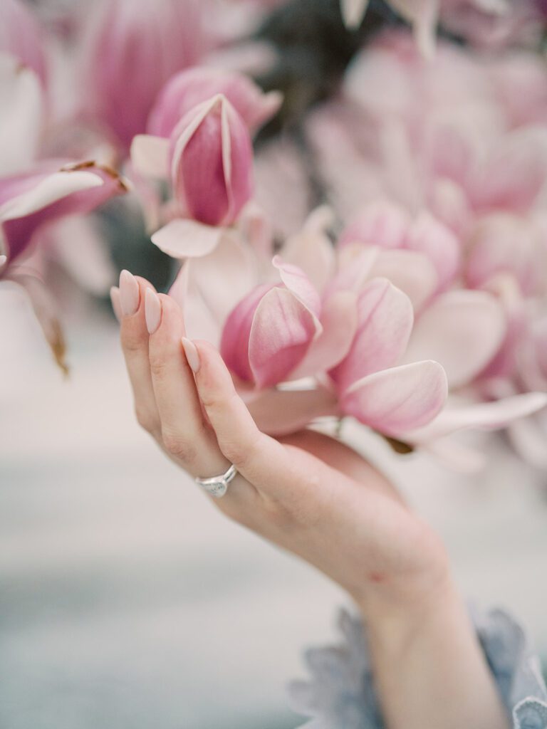 Close-Up View Of A Woman's Hand Reaching For A Pink Magnolia Blossom.