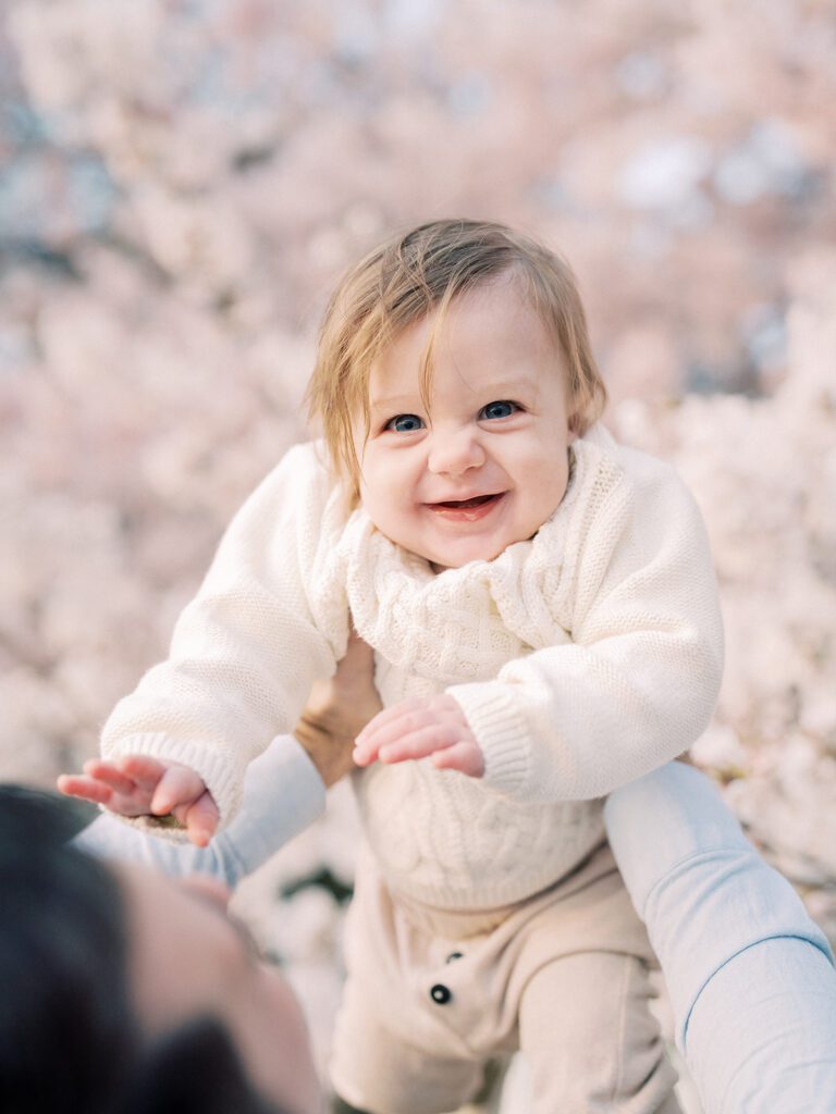 Baby Boy Smiles At The Camera As He Is Held Up Into Cherry Blossoms.