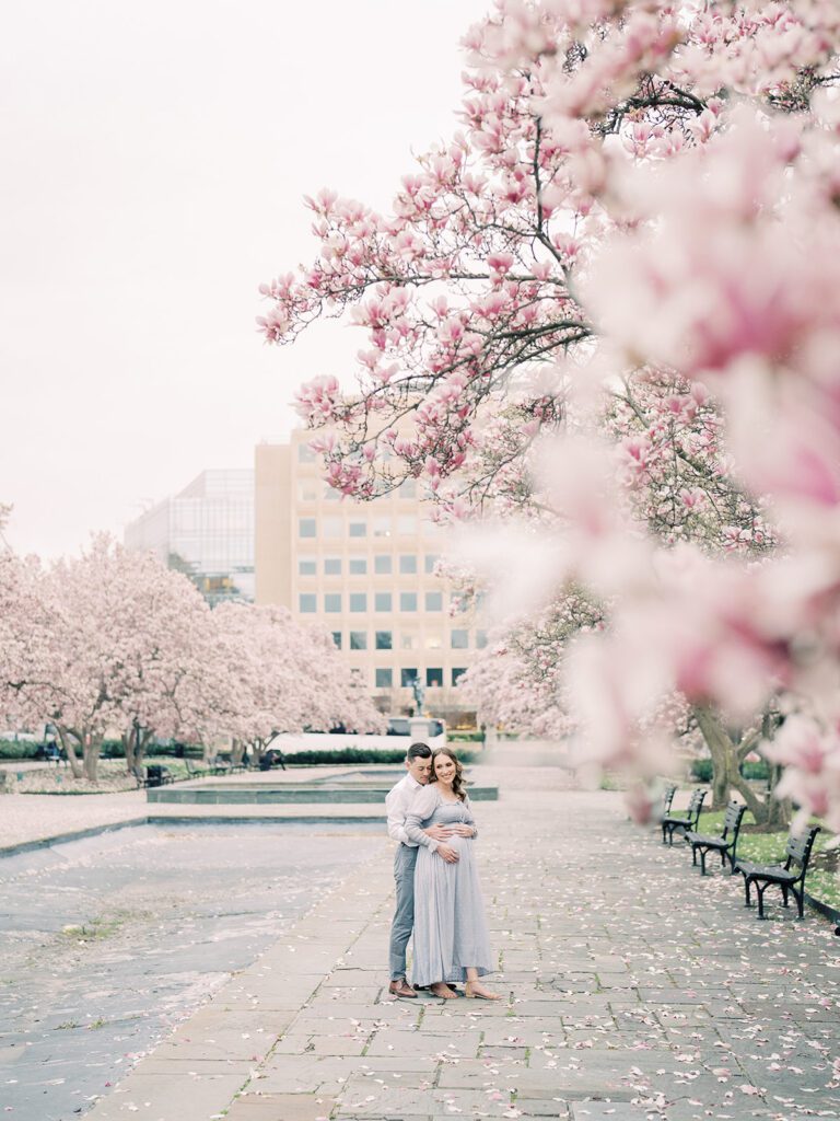 The Magnolias In Rawlins Park In Dc During A Maternity Session.