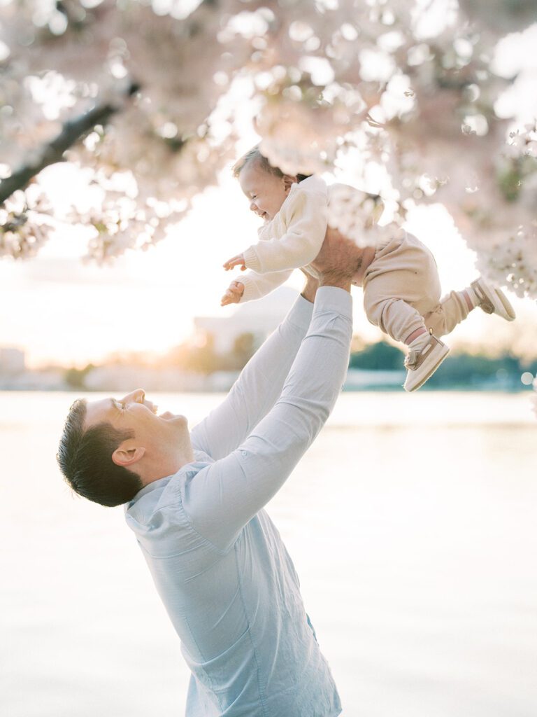 Father In Blue Shirt Holds Up His Infant Son Into The Dc Cherry Blossoms Along The Tidal Basin.