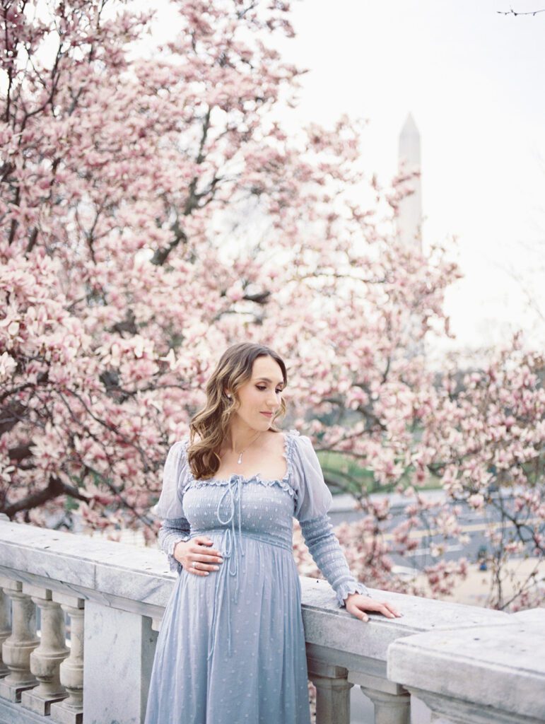 Pregnant Mother In French Blue Doen Dress Leans Against The Balcony At The Dar Constitution Hall In Front Of The Dc Magnolias During Bloom.