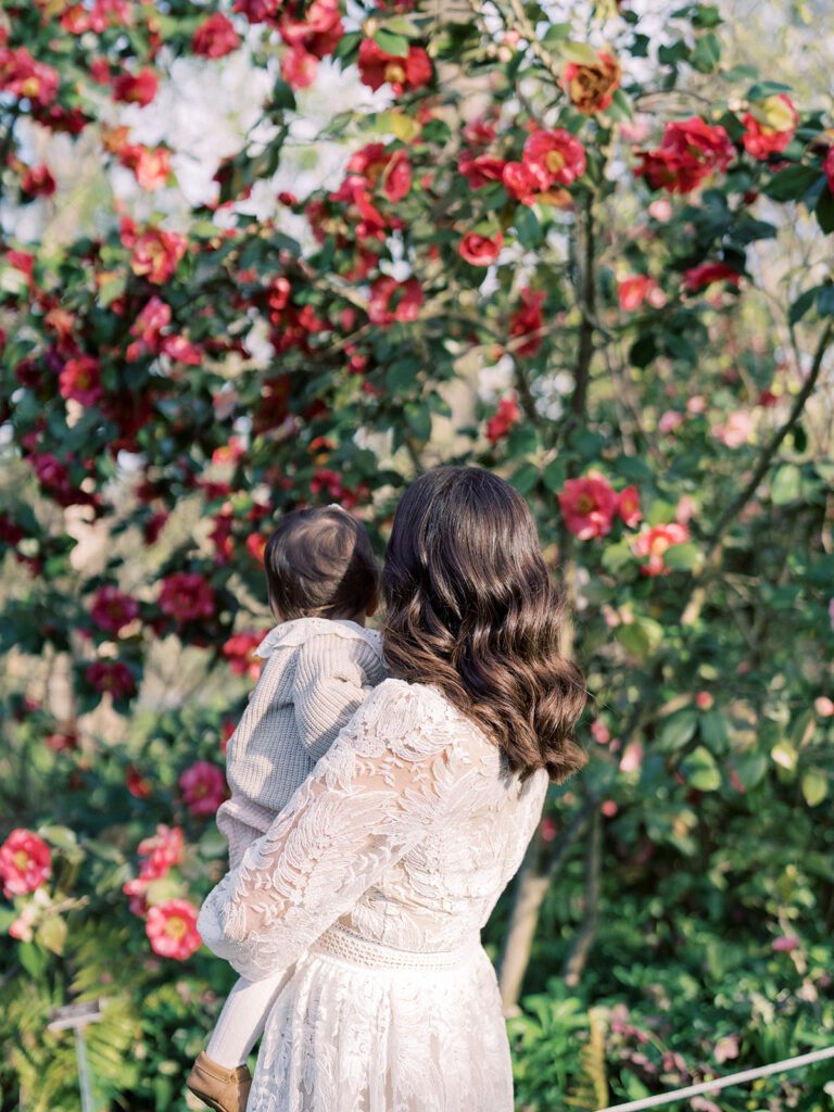 Mother With Long Brown Hair Holds Her Daughter While Looking At Red Camellias At Brookside Gardens In Md.