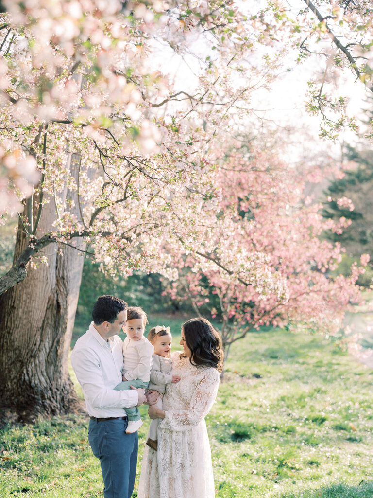 Family Of Four Stand Together Under Cherry Blossoms At Brookside Gardens.