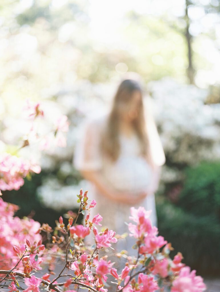 View Of Pink Azaleas In The Foreground While A Pregnant Mother Stands Out Of Focus In The Background.