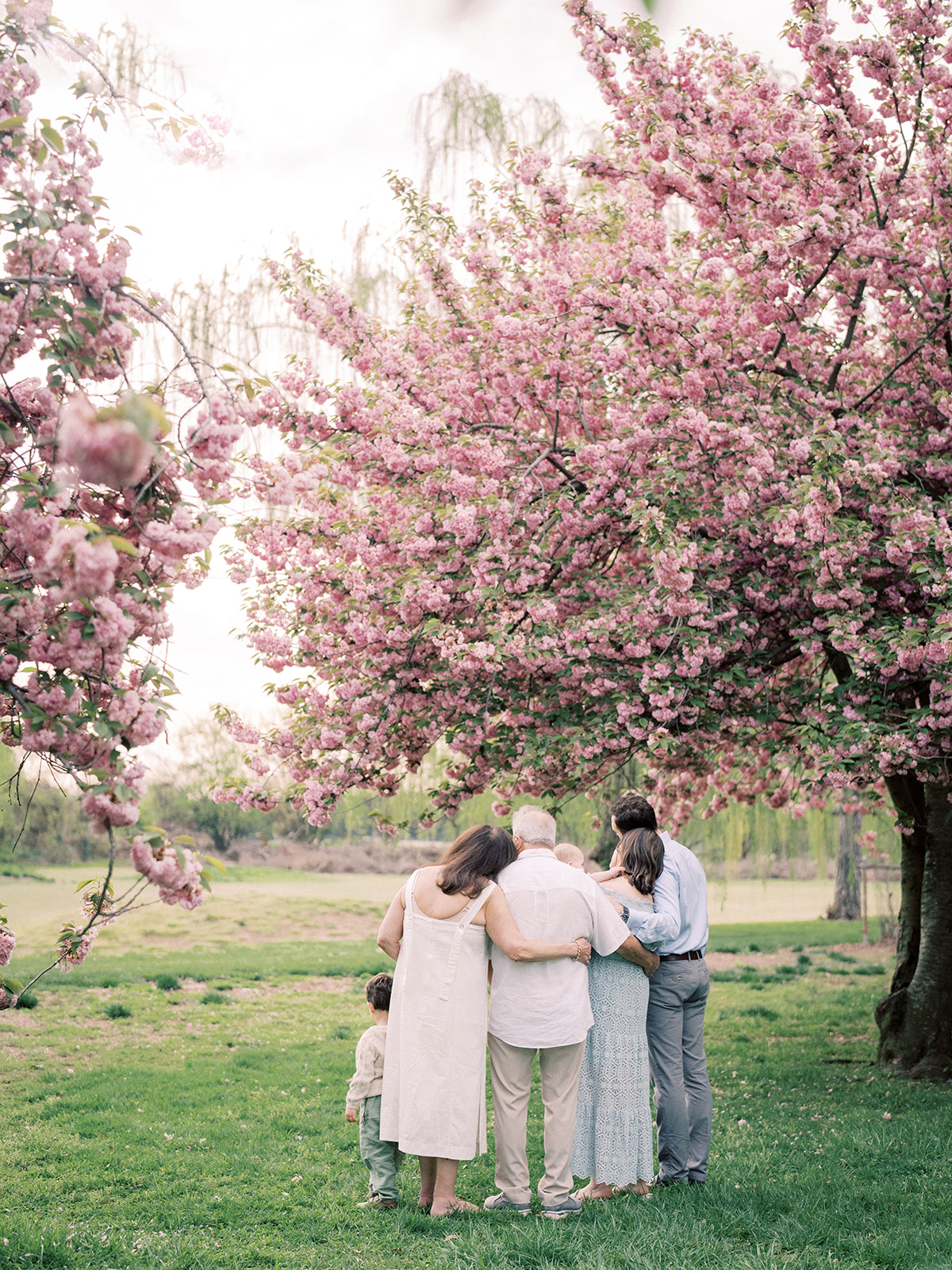 A Family Huddles Together At Hains Point During Their Family Photos In The Kwanzan Cherry Blossoms In Dc.