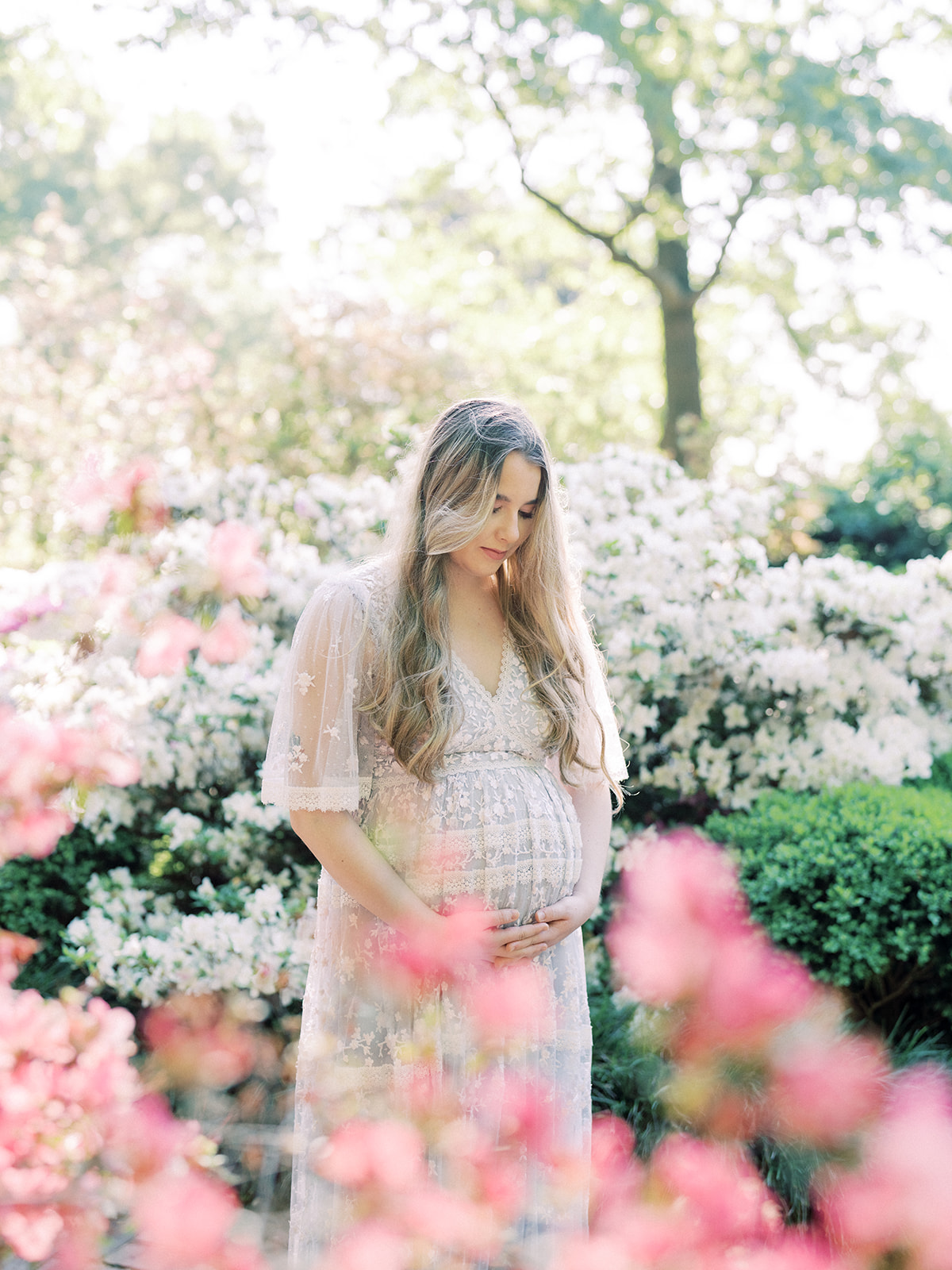 A Brunette Pregnant Mom Stands Amongst Azaleas In Dc During Her National Arboretum Azaleas Maternity Session.