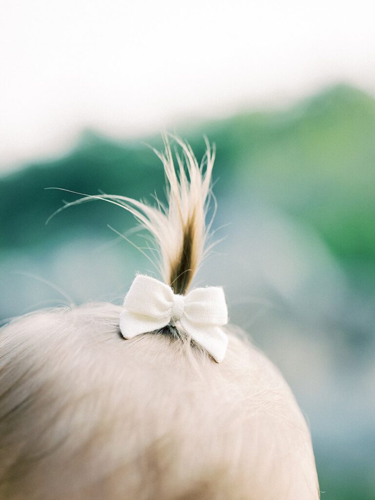 A Close-Up View Of A Little Girl's Bow In Her Hair.