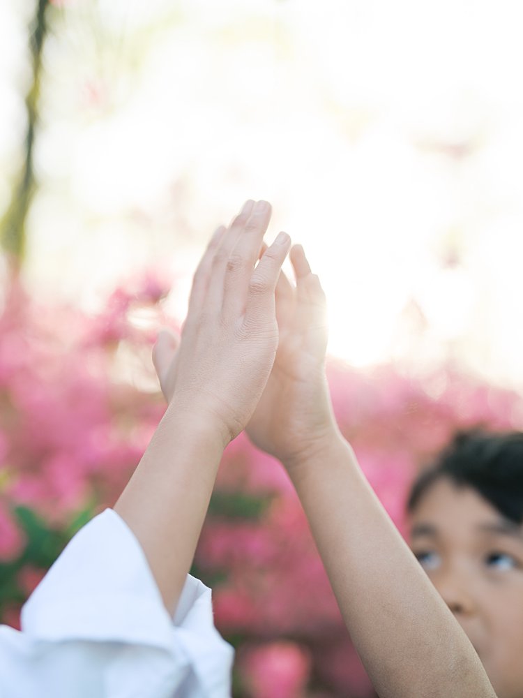 Closeup View Of Two Hands Touching With Pink Azaleas In The Background.