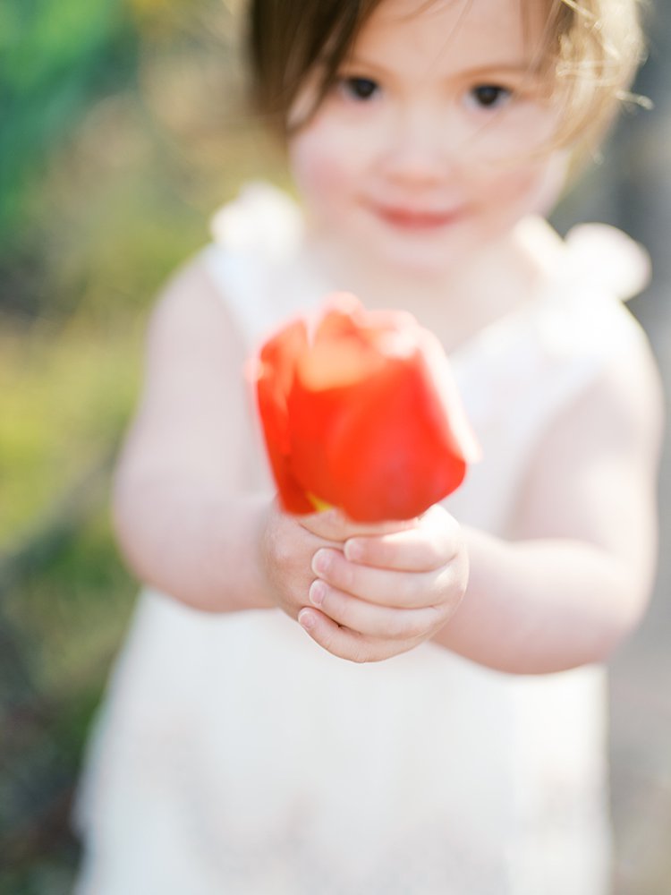 A Little Girl Holds Up A Red Tulip To The Camera.