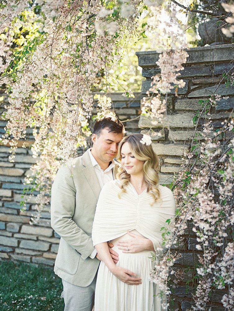 A Couple Stand Close Together Near A Cherry Blossom Tree During Their Maternity Session At Dumbarton Oaks Garden.