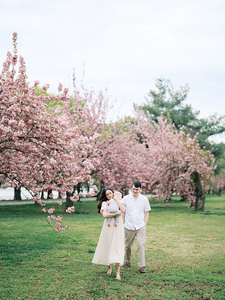 Mother And Father Walk Together Holding Their Infant Son At The Hains Point Cherry Blossoms.