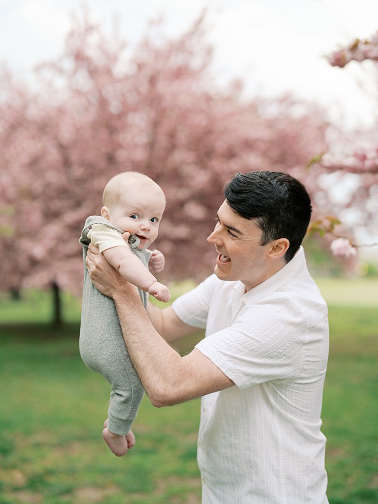 Father Holds His Infant Son Up In The Air While Standing In A Grove Of Kwanzan Cherry Trees.