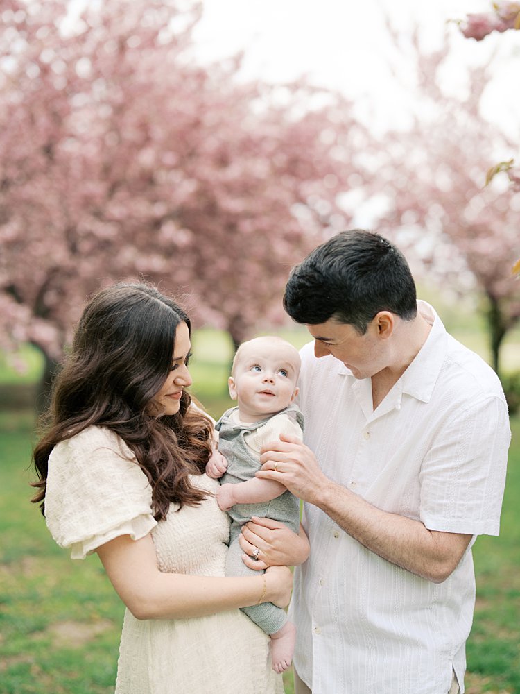 Baby Boy Looks Up At His Father While Being Held By His Mother During Their Hains Point Cherry Blossoms Session.