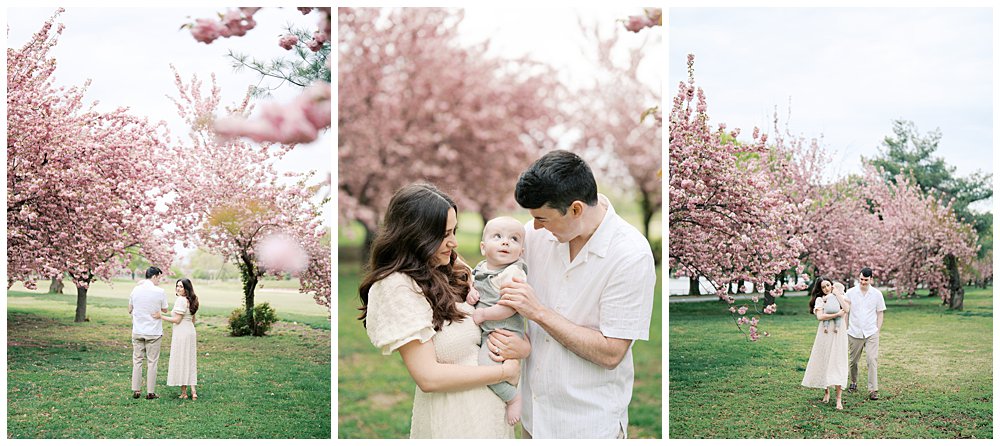 A Collage Of Three Images From A Family Session At The Hains Point Cherry Blossoms.