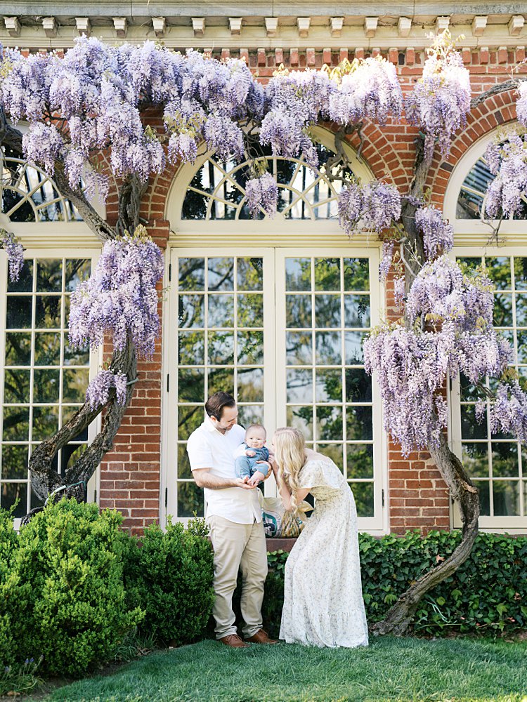 Blonde Mother Leans Down To Play With Her Little Boy Held By His Father While Standing In Front Of A Brick Building With Hanging Purple Wisteria In Dc.