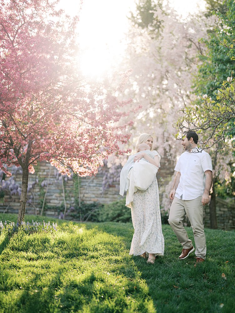 Mother And Father Walk Amongst Pink Cherry Blossoms In A Garden.
