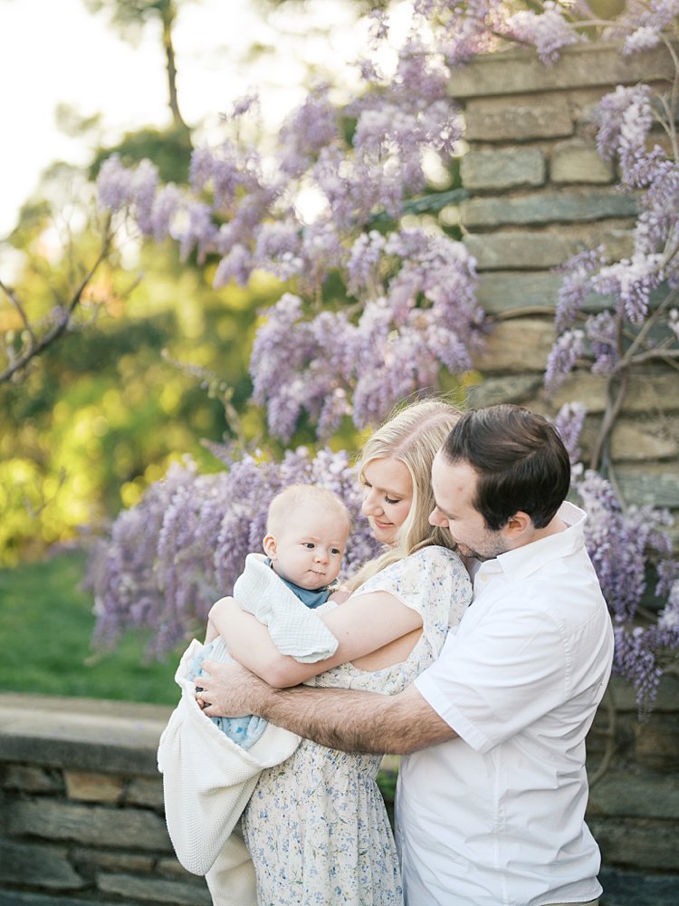 Parents Hold Their Infant Son While Standing In Front Of Stone Wall With Hanging Purple Wisteria.