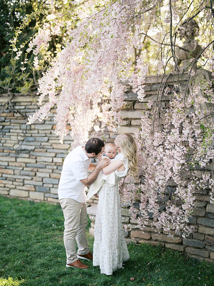 Parents Hold Their Baby Boy Near Stone Wall With Weeping Pink Cherry Tree In Washington Dc Garden.