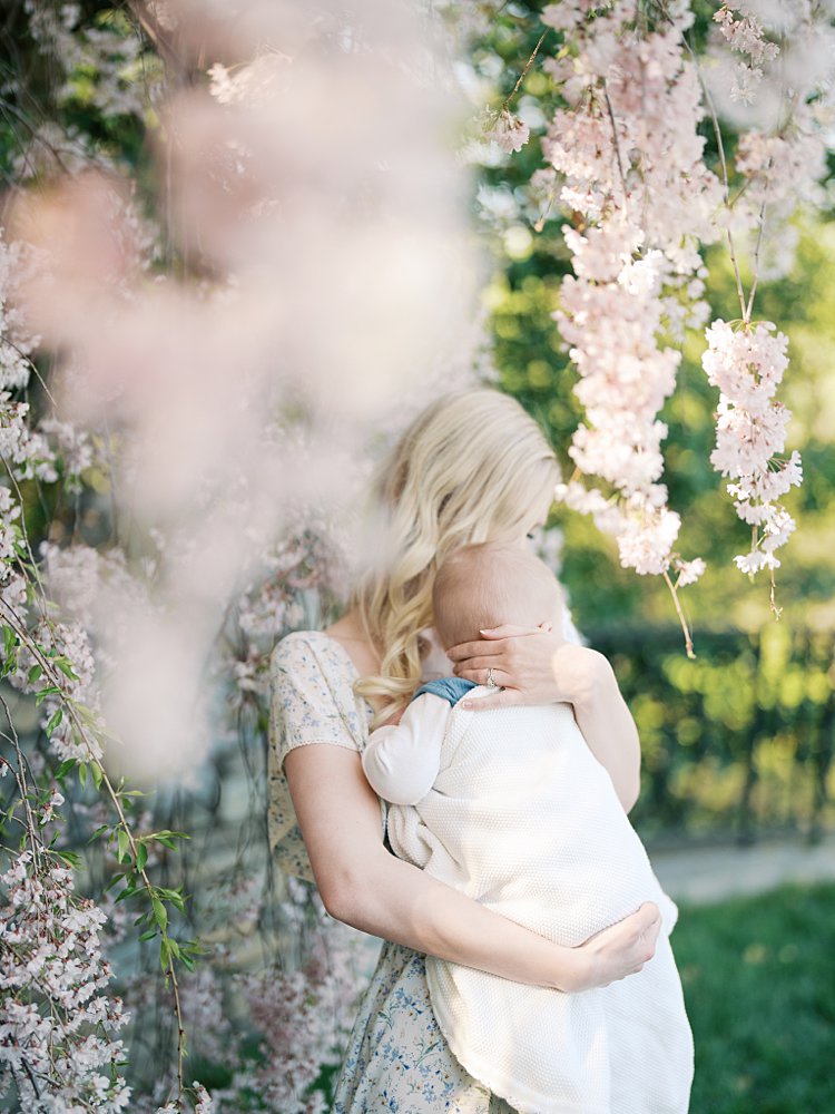 Blonde Mother Holds Her Baby Boy While Standing Among Pink Cherry Blossoms In A Garden In Washington, D.c.