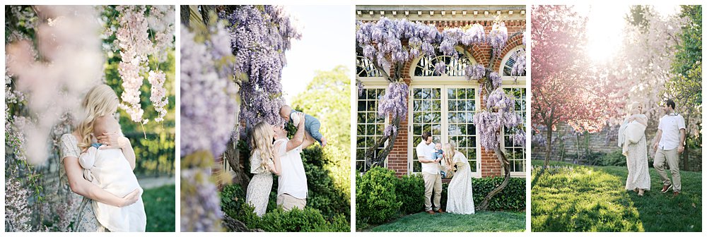 A Collage Of Four Images From A Family Session With Wisteria In Dc.