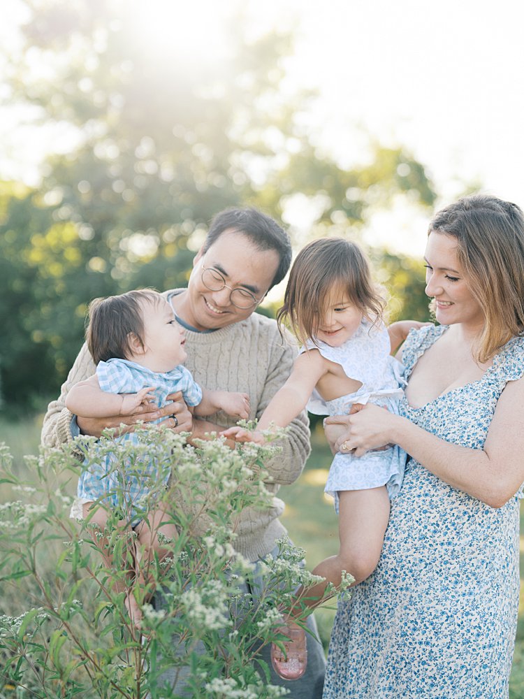 A Family Of Four Reach For Wildflowers During Their Mayo Beach Park Photos.