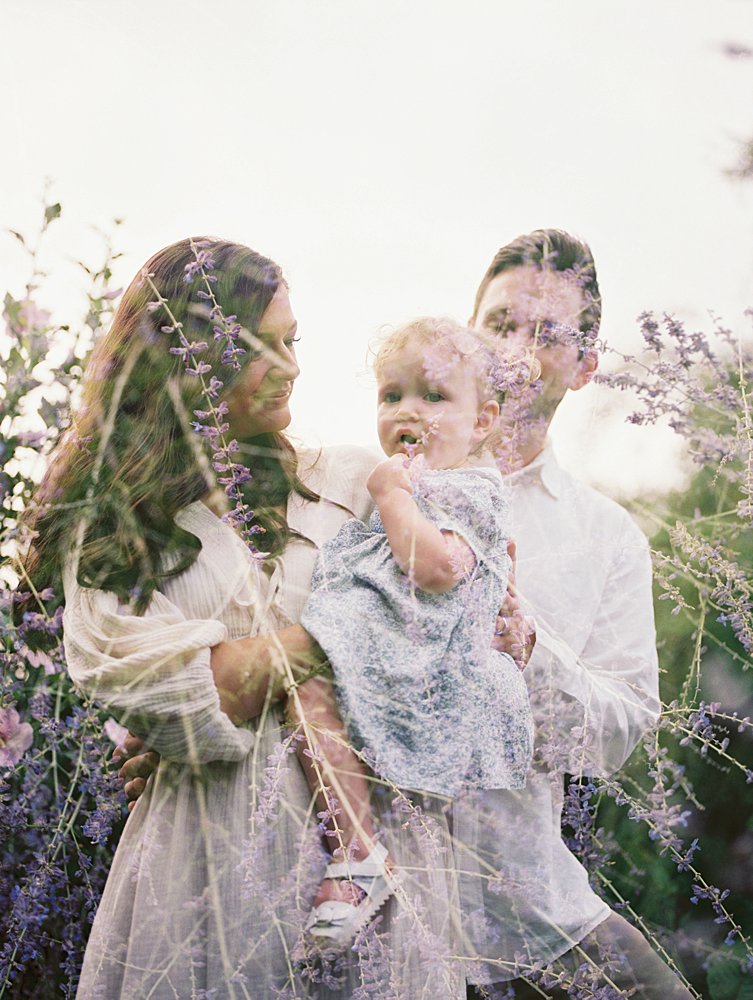 A double exposure of purple flowers and a mother, father, and little girl.
