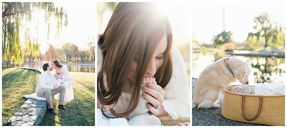 Three Images Of Constitution Gardens Newborn Photos During Sunrise.
