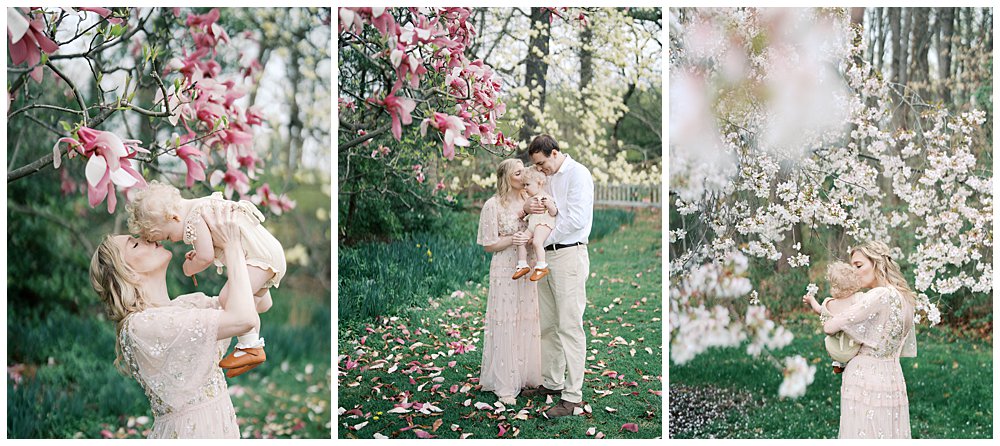 Brookside Gardens In Silver Spring Is One Of The Best Dc Cherry Blossom Locations For Photo Sessions.
