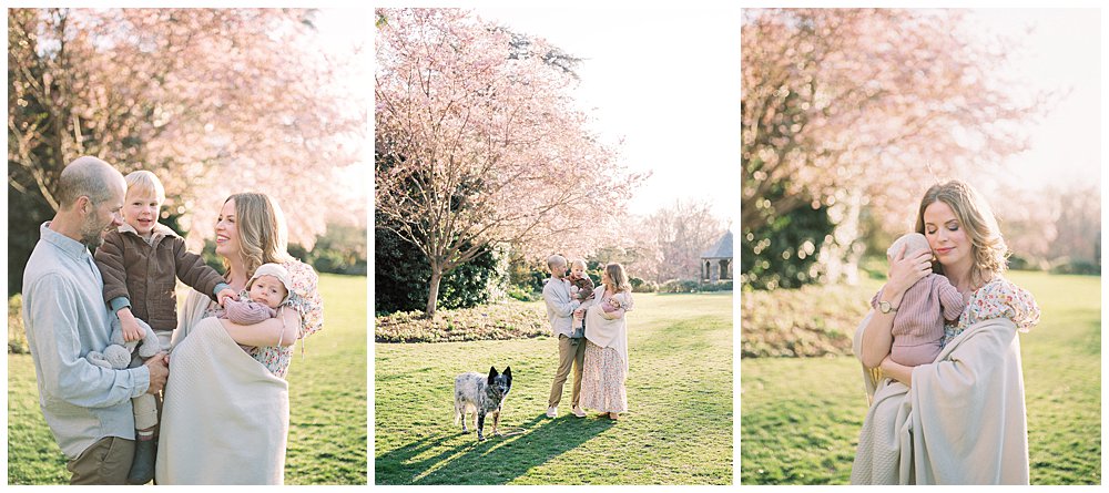 Bishop's Garden At The National Cathedral Is One Of The Best Dc Cherry Blossom Locations For Photo Sessions.