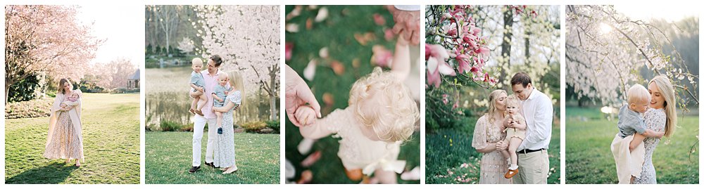 Best Dc Cherry Blossom Locations 0012 Best Dc Cherry Blossom Locations