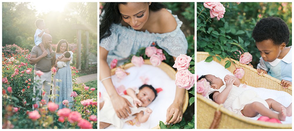 How To Choose The Best Location For Your Newborn Session: Collage Of Three Images From An Outdoor Newborn Session At Bon Air Rose Garden. 