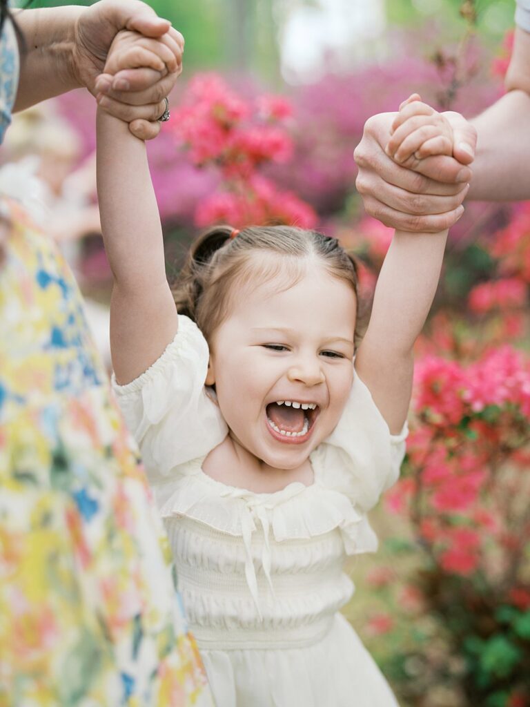 A Pure Joy Moment As A Toddler Girl Throws Her Arms Up With The Biggest Laugh, Held By Both Parents' Hands Amid A Sea Of Pink And Coral Azaleas At Brighton Dam Azalea Garden