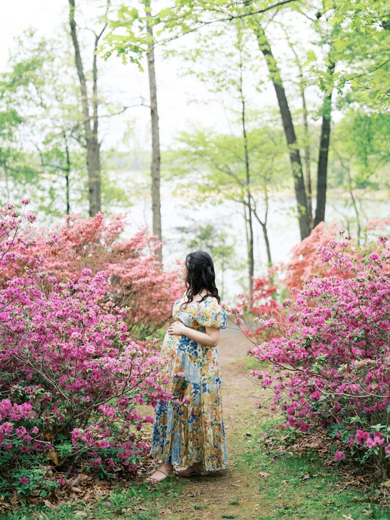 A Pregnant Woman In A Flowing Floral Maxi Dress Stands With Her Back To The Camera On A Garden Path, Cradling Her Bump While Looking Out Toward The Water Through A Tunnel Of Vibrant Pink Azaleas At Brighton Dam Azalea Garden During Her Clarksville Maternity Photos Session