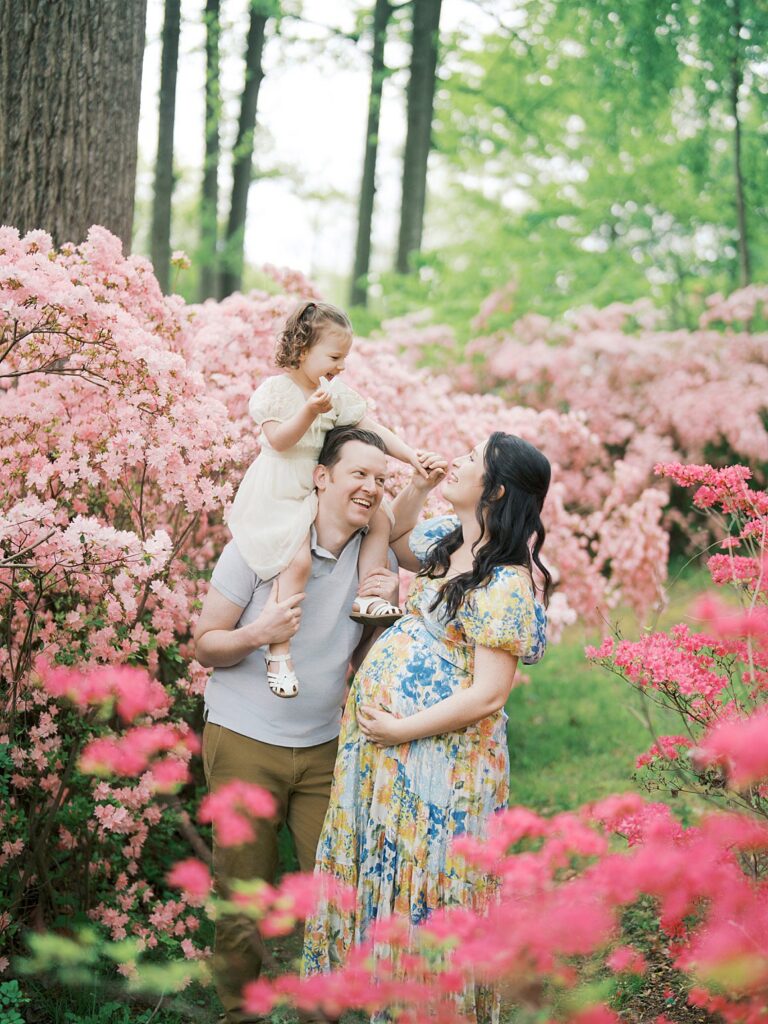 A Laughing Family Of Three Enjoys A Carefree Moment Together At Brighton Dam Azalea Garden, Dad With Their Toddler On His Shoulders And Pregnant Mama Cradling Her Bump Amid Cascading Pink And Red Azaleas During Their Clarksville Maternity Photos Session