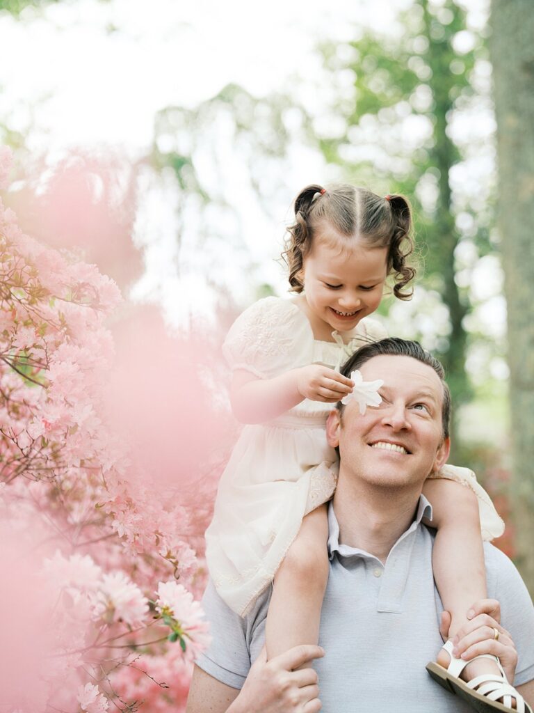 A Little Girl Perches On Her Dad's Shoulders Among Soft Pink Azalea Blooms At Brighton Dam Azalea Garden, Playfully Covering His Eyes While He Grins Up At Her