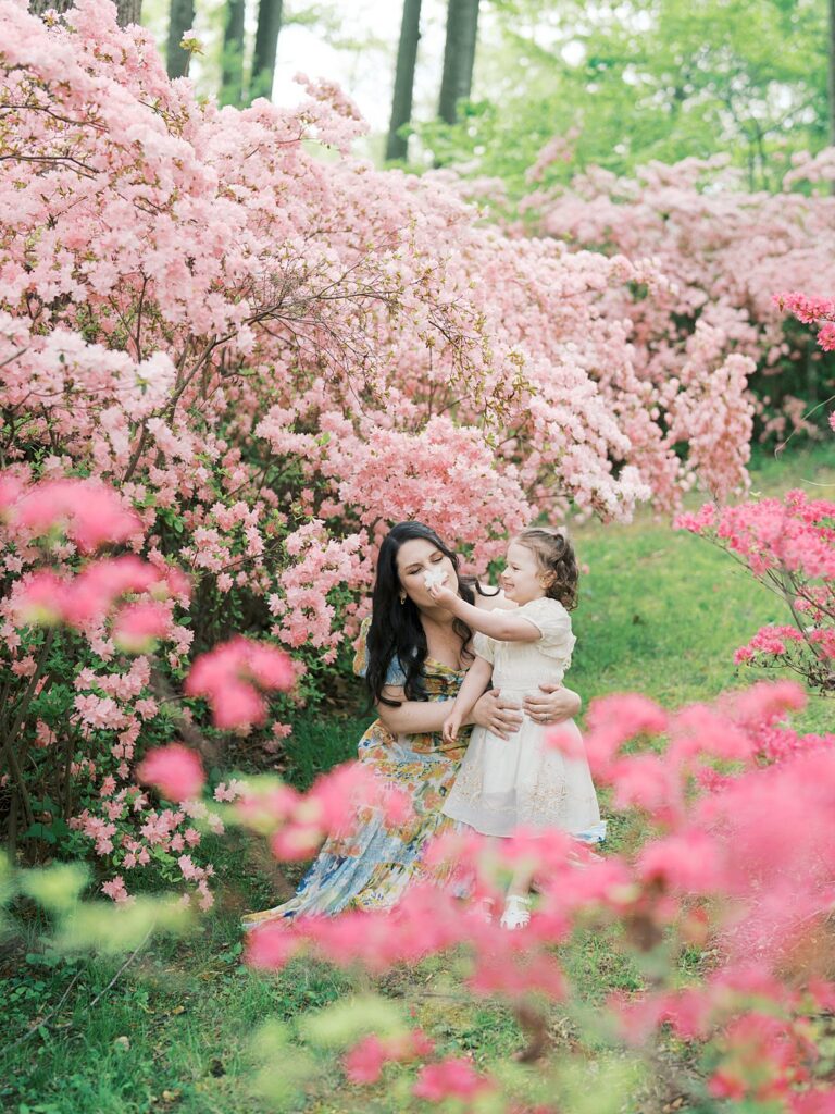 A Pregnant Mother Holds Her Laughing Little Girl Amid Sweeping Pink And Red Azalea Gardens At Brighton Dam, The Dreamy Floral Surroundings Perfectly Framing This Tender Clarksville Maternity Photos Moment.