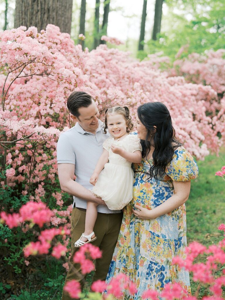 A Family Of Three Shares A Joyful Moment Together Among Stunning Pink Azalea Blooms At Brighton Dam Azalea Garden, The Dad Holding Their Young Daughter In A White Dress While Mom Lovingly Cradles Her Pregnant Belly During Their Clarksville Maternity Photos Session.