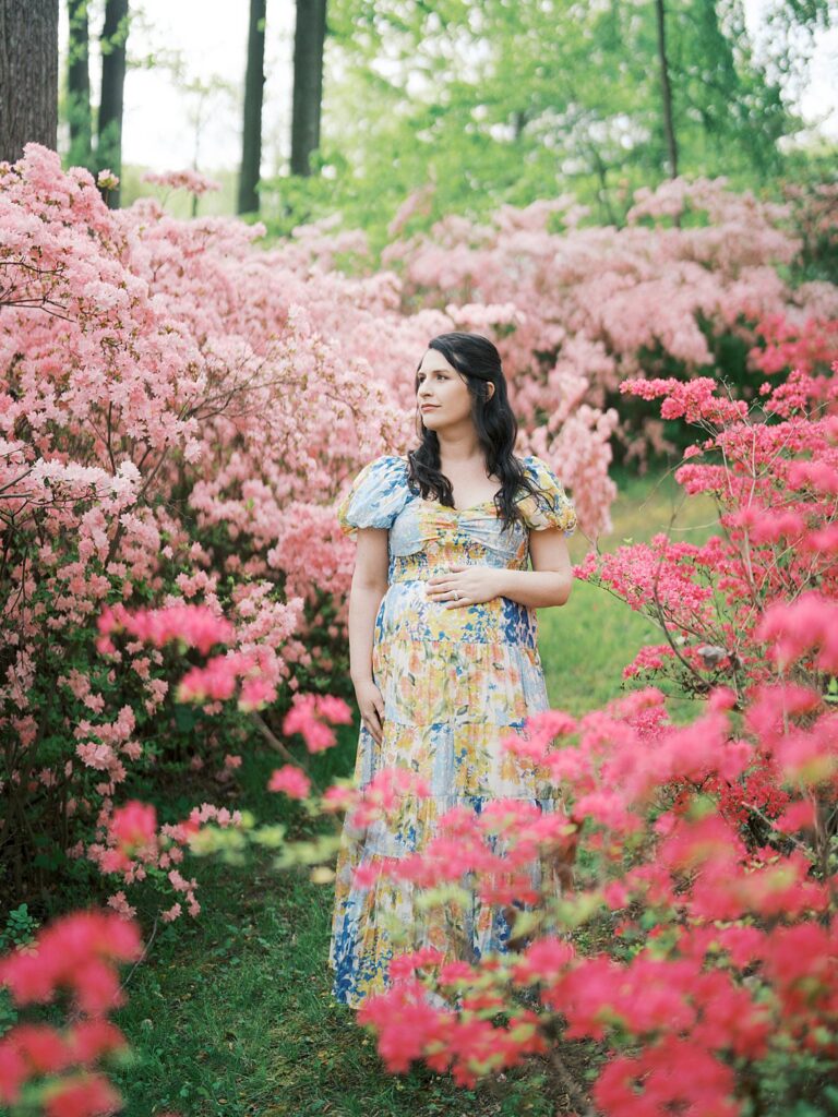 A Pregnant Woman In A Floral Maxi Dress Stands Among Blooming Pink Azalea Bushes At Brighton Dam Azalea Garden, Cradling Her Baby Bump And Gazing Softly To The Side During Her Clarksville Maternity Photos Session.