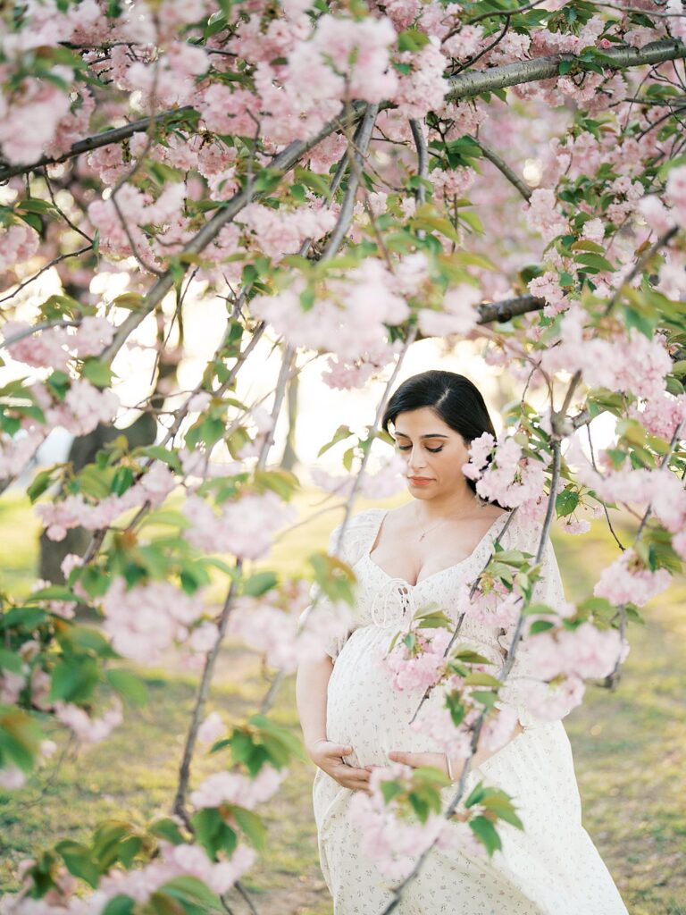 Maternity Portrait Framed By Delicate Pink Cherry Blossoms, With The Mother Gently Holding Her Bump Under Soft Spring Light At Hains Point.