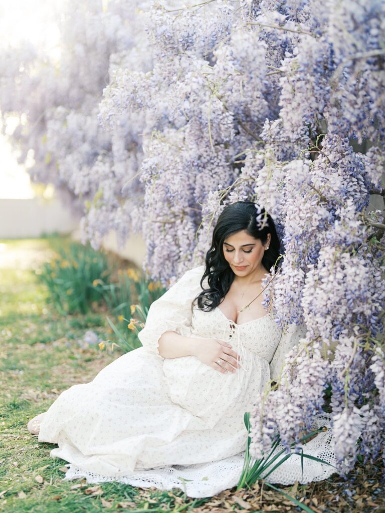Pregnant Mother Seated Beneath Hanging Lavender Wisteria Blossoms During Dc Wisteria Maternity Photos, Gently Cradling Her Bump In A Peaceful, Intimate Moment.