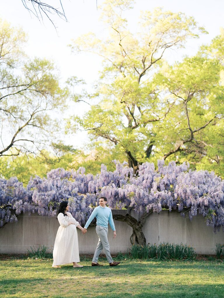 Couple Walking Hand In Hand Beneath A Sweeping Wisteria Tree In Full Bloom During Dc Wisteria Maternity Photos, Surrounded By Fresh Greenery And Golden Light.