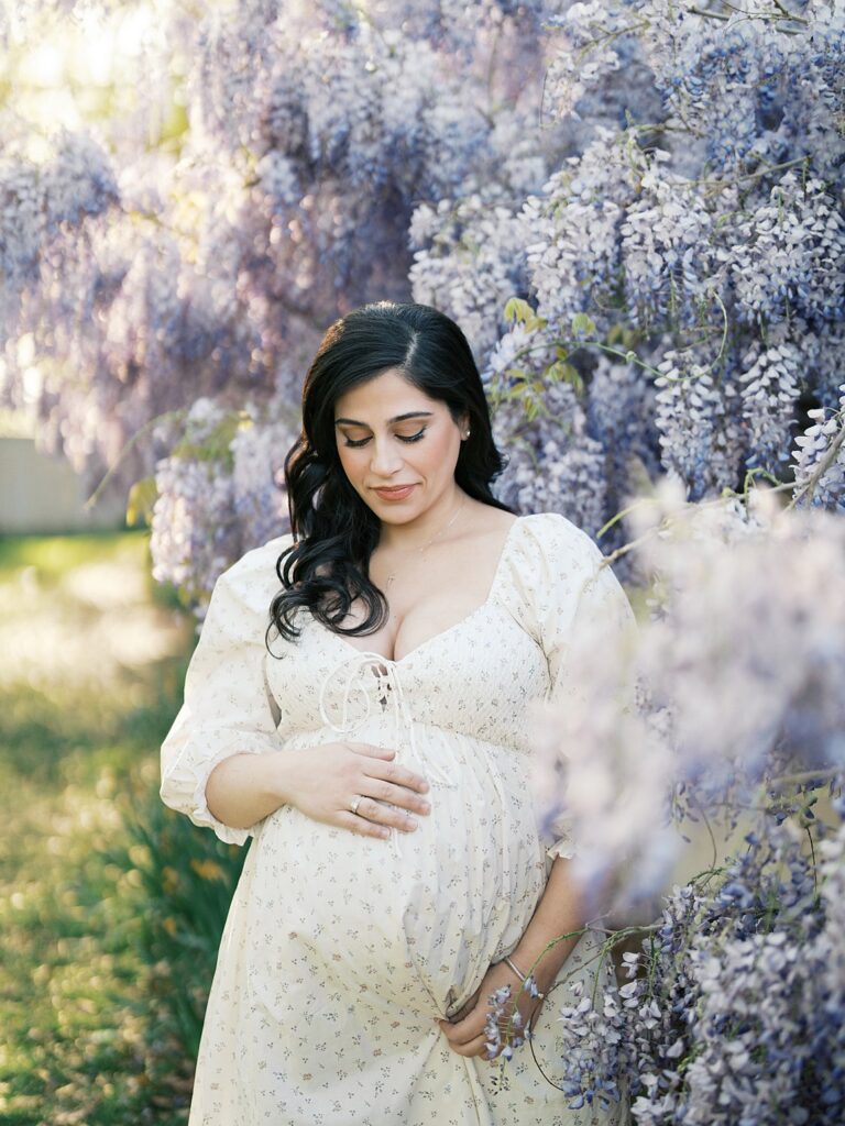 Expectant Mother Standing Beneath Soft Purple Blooms, Gently Holding Her Bump During Dc Wisteria Maternity Photos, Surrounded By Dreamy Spring Light.