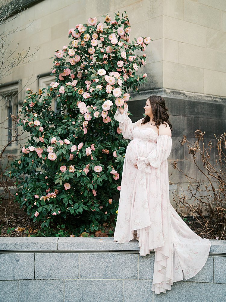 Expectant Mother Standing Beside A Blooming Camellia Bush In A Flowing Dress During Maternity Photos At The National Cathedral Cherry Blossoms, Highlighting Soft Color And Elegant Textures.