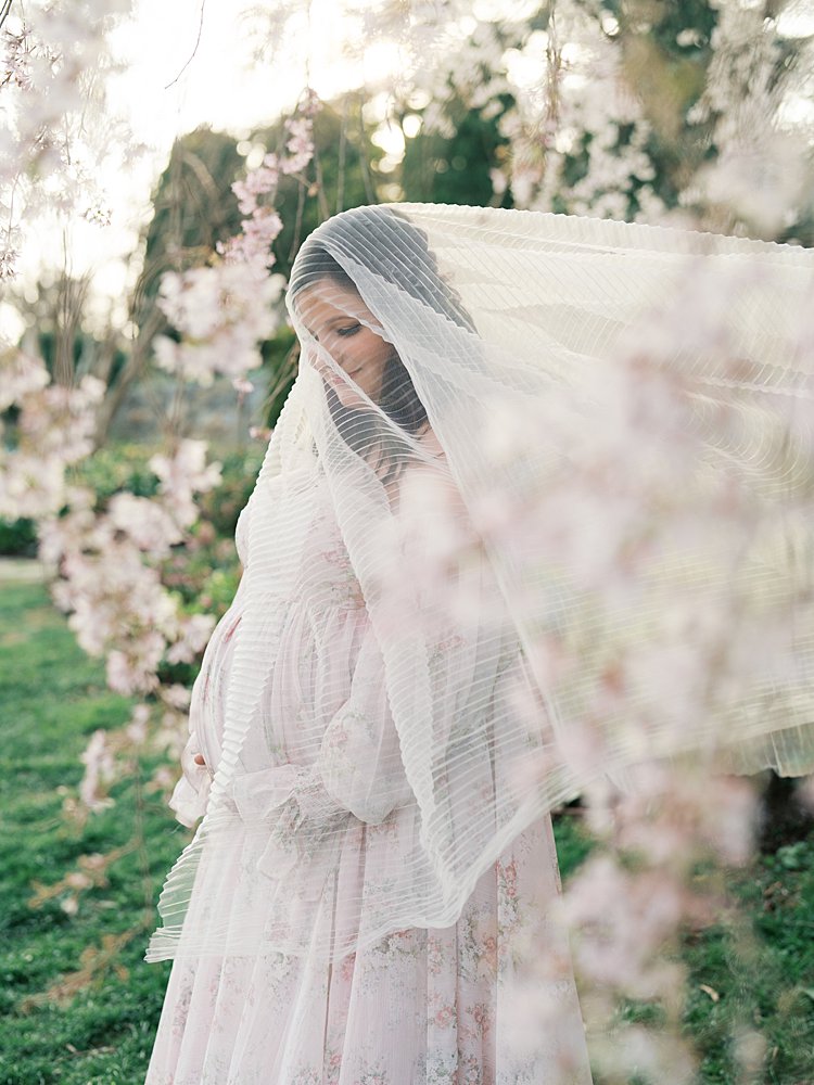 Pregnant Mother Draped In A Sheer Veil Surrounded By Soft Blossoms During Maternity Photos At The National Cathedral Cherry Blossoms, Creating An Ethereal And Romantic Look.