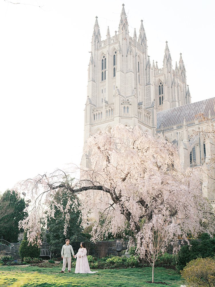 Wide View Of A Couple Standing Beneath A Blooming Cherry Tree With The Cathedral Towering Behind Them During Maternity Photos At The National Cathedral Cherry Blossoms In Washington, Dc.