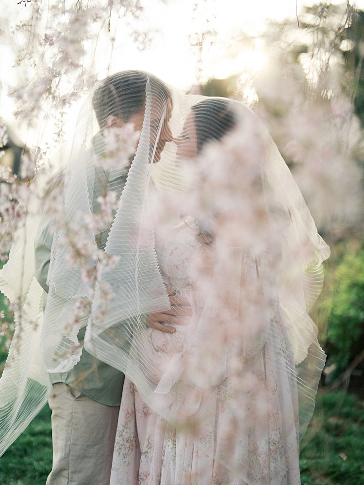 Couple Sharing A Kiss Beneath A Sheer Veil During Maternity Photos At The National Cathedral Cherry Blossoms, With Blossoms Softly Framing The Scene.