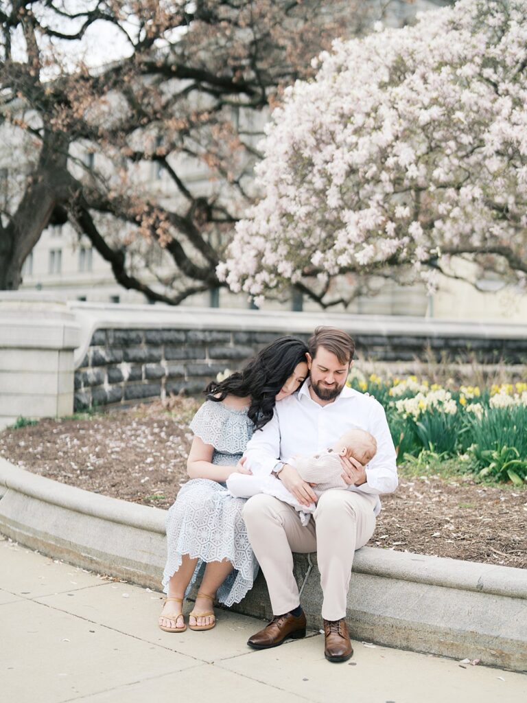A Mother Sits On Her Husband's Lap As He Holds Their Newborn Baby Outside The Library Of Congress, Surrounded By A Blooming Cherry Blossom Tree And Bright Yellow Daffodils During Their Washington Dc Newborn Photos.