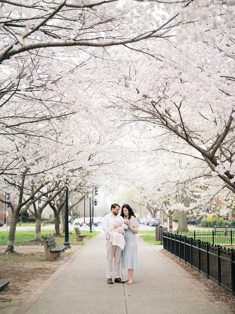 A Mother And Father Walk Together Along A Tree-Lined Path At Stanton Park, Looking Down At Their Newborn Baby While Surrounded By A Canopy Of White Cherry Blossoms During Their Newborn Photos.